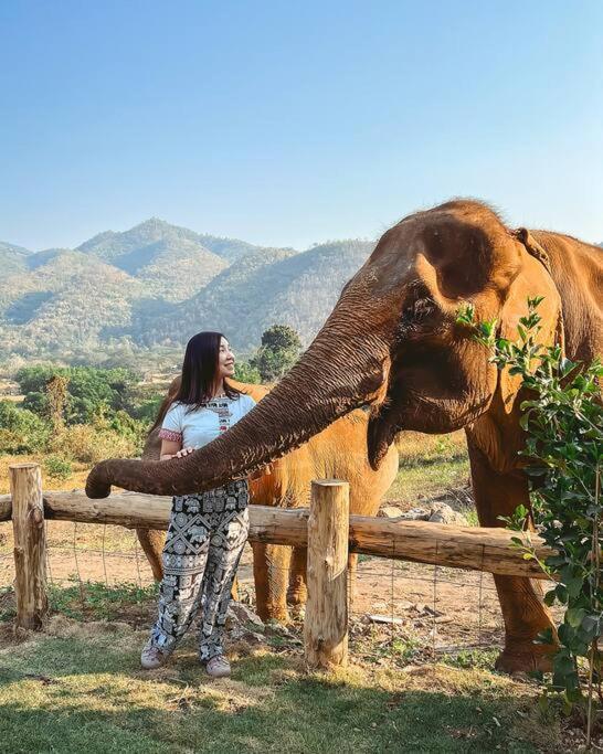 Elephantpoolvilla Maetang Chiangmai Ban Muang Kut Bagian luar foto