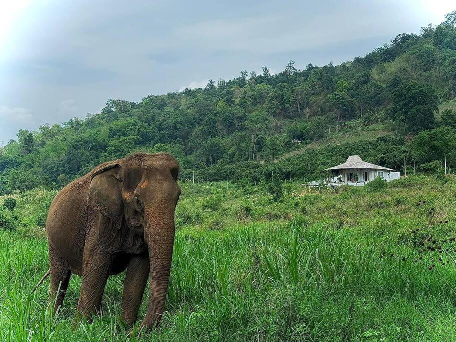 Elephantpoolvilla Maetang Chiangmai Ban Muang Kut Bagian luar foto